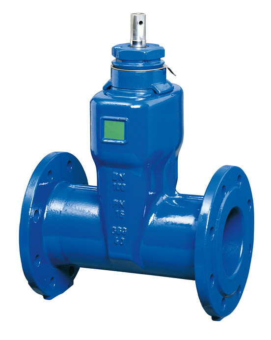 加長法蘭軟密封閘閥